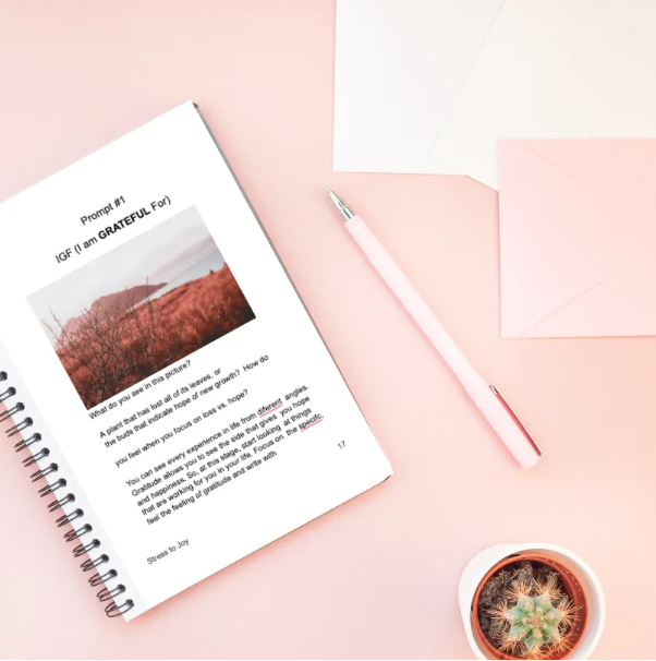Stress to Joy Guided Gratitude Journal: Experience Greater Peace and Happiness in Just Minutes a Day